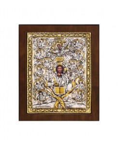  ΚΩΔ 102Ε 48 Η ΑΜΠΕΛΟΣ ΤΟΥ ΧΡΙΣΤΟΥ