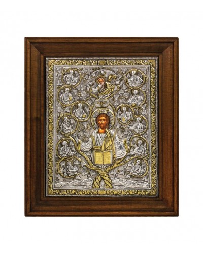  ΚΩΔ 206 11 Η ΑΜΠΕΛΟΣ ΔΙΑΣΤΑΣΗ 48 Χ 40 