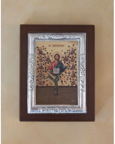   ΚΩΔ Μ101Ρ 14 ΧΡΙΣΤΟΣ Η ΑΜΠΕΛΟΣ